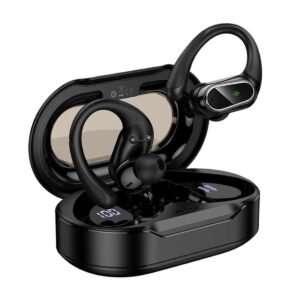HOCO EQ29 Rhyme Wireless Earbuds – White